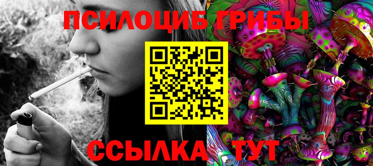 Псилоцибиновые грибы Cubensis Чайковский