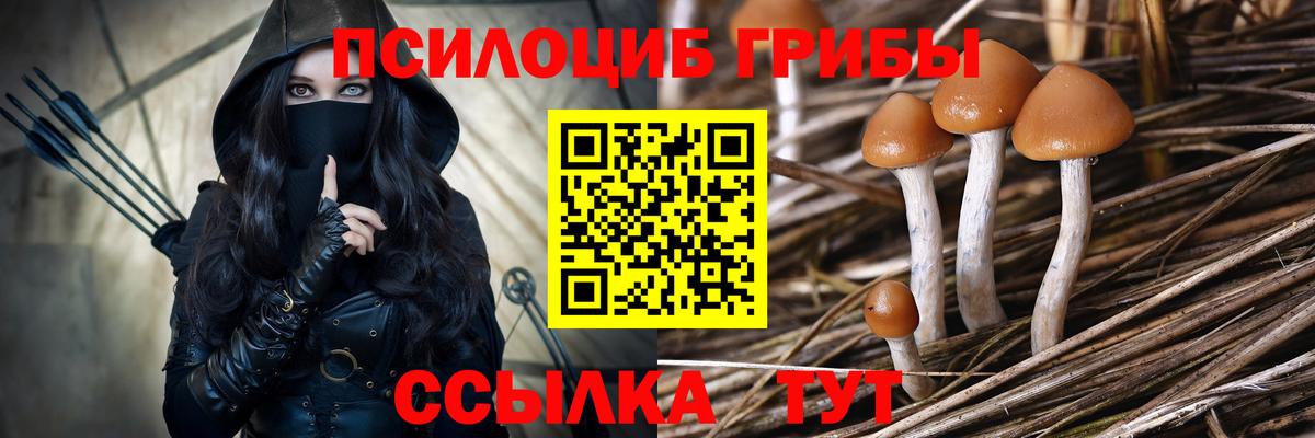 купить наркотик  Вход с VPN  Чайковский  Псилоцибиновые грибы Cubensis  Галлюциногенные грибы мицелий 
